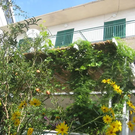 Apartmán Sulic